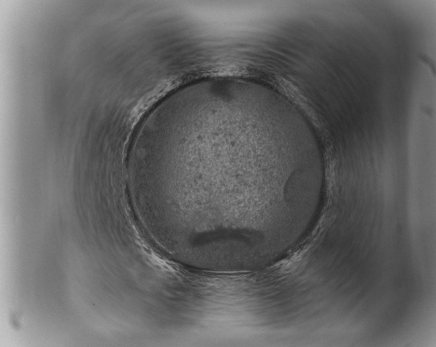 X0000100390721200806130951