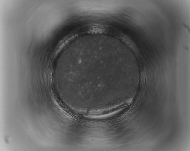 X0000100390722200806130951