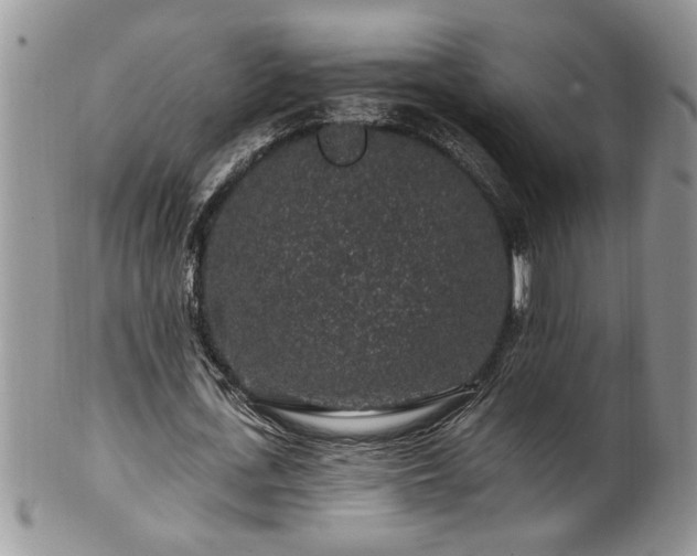 X0000100390723200806130951