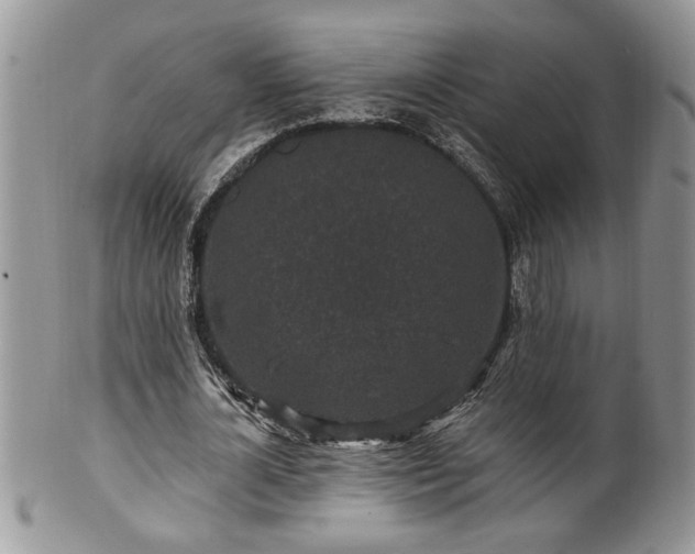 X0000100390724200806130951