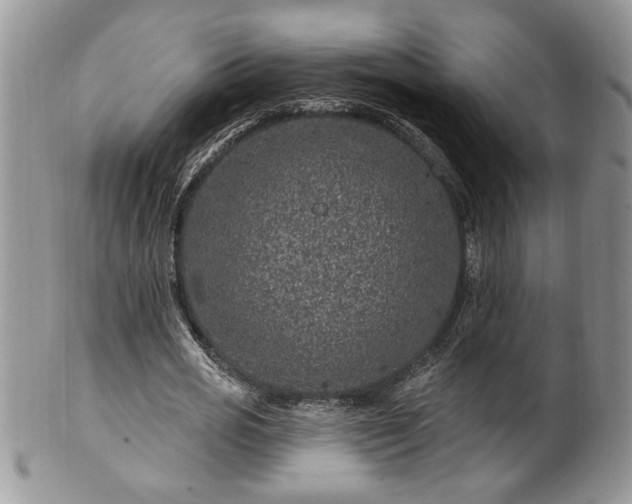 X0000100390725200806130951