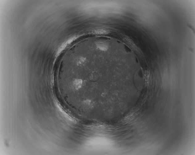 X0000100390726200806130951