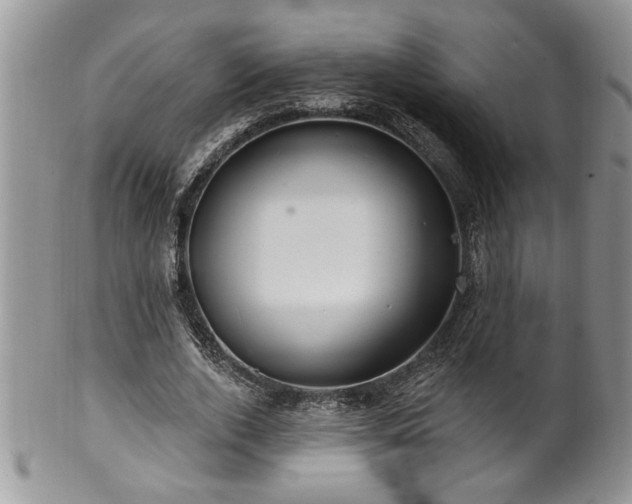 X0000100390728200806130951