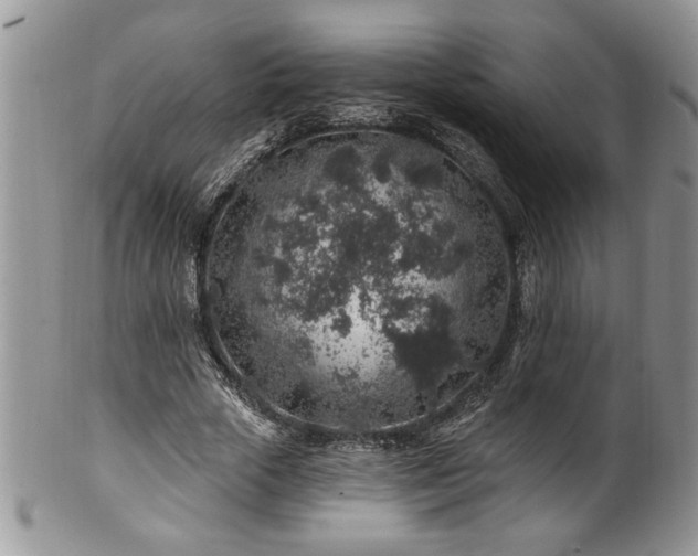 X0000100390729200806130951