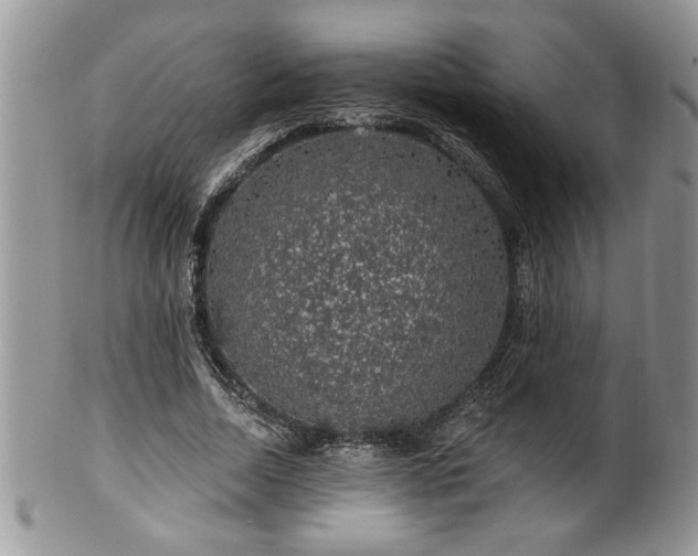 X0000100390730200806130951