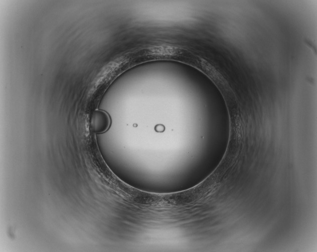 X0000100390731200806130951