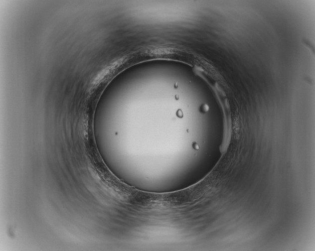 X0000100390732200806130951