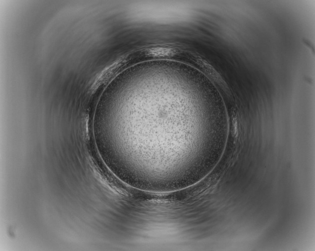 X0000100390733200806130951