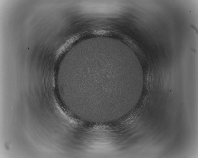 X0000100390734200806130951