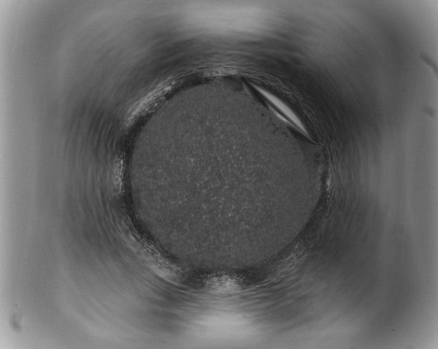 X0000100390735200806130951