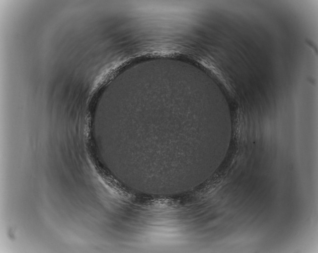 X0000100390736200806130951