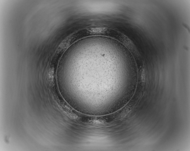 X0000100390737200806130951