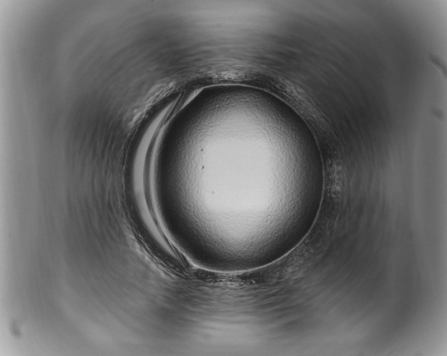 X0000100390738200806130951