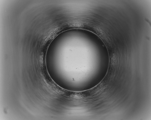 X0000100390739200806130951