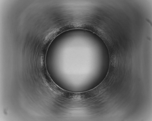 X0000100390740200806130951