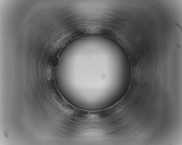 X0000100390741200806130951