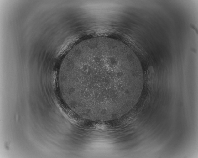 X0000100390742200806130951