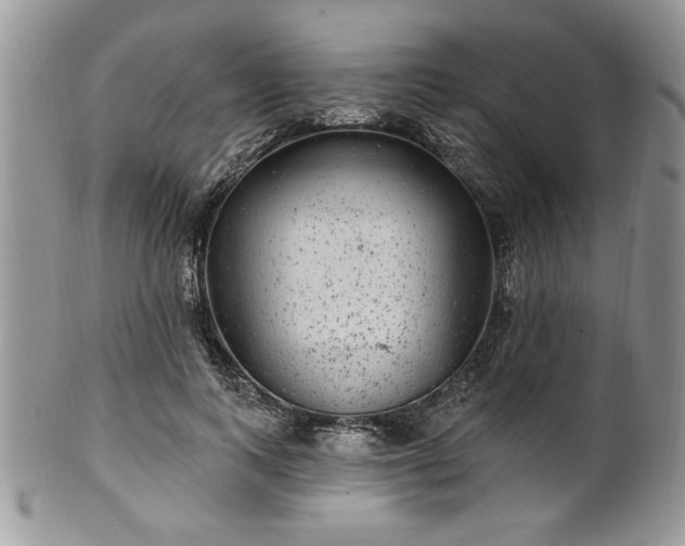 X0000100390743200806130951