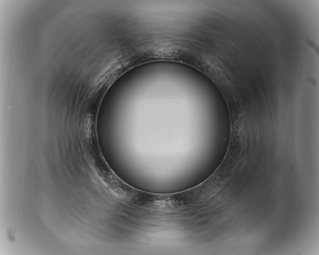 X0000100390744200806130951