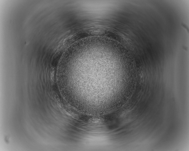 X0000100390745200806130951