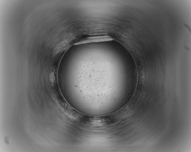 X0000100390746200806130951