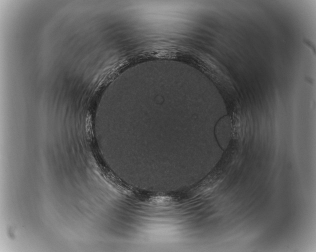 X0000100390748200806130951