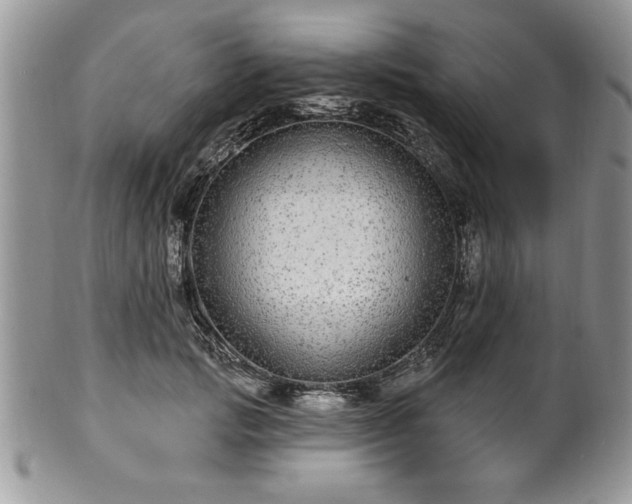 X0000100390749200806130951