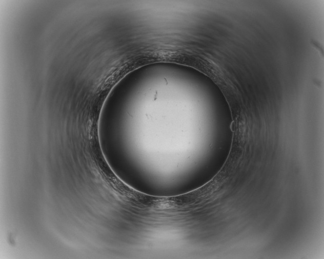 X0000100390750200806130951