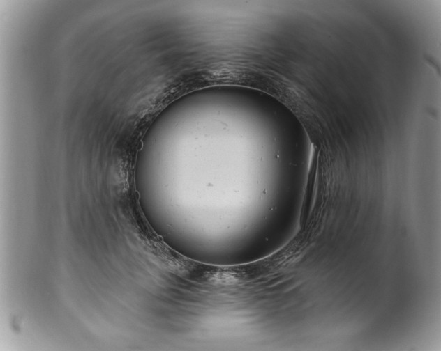 X0000100390751200806130951