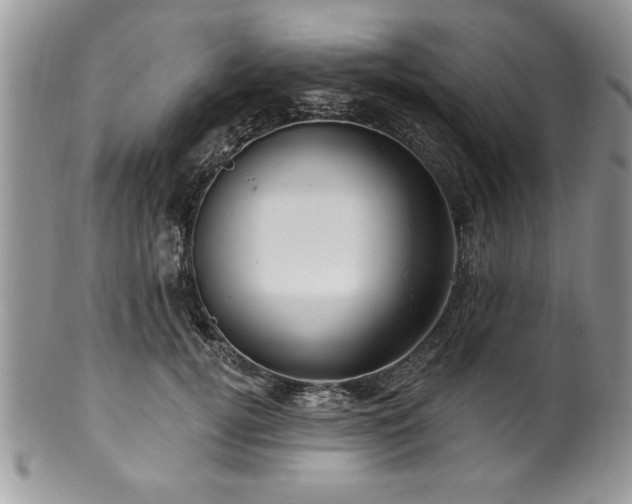 X0000100390752200806130951