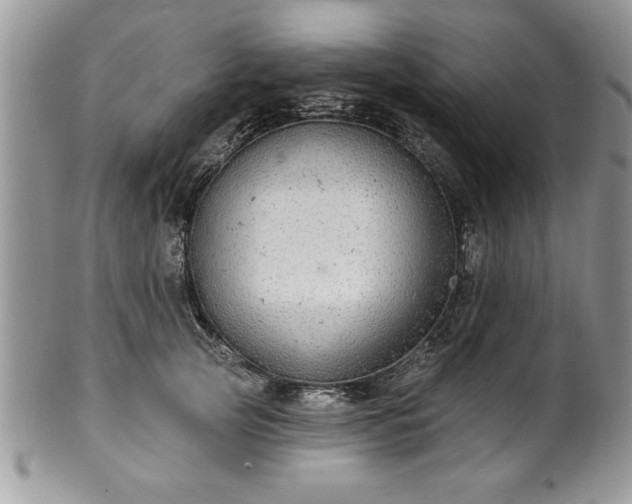 X0000100390753200806130951