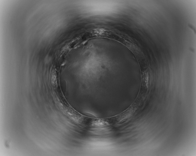 X0000100390754200806130951