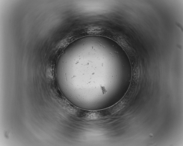 X0000100390755200806130951