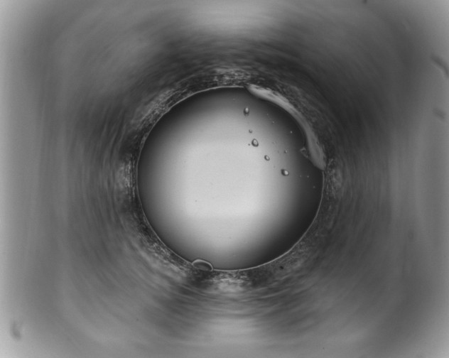 X0000100390756200806130951