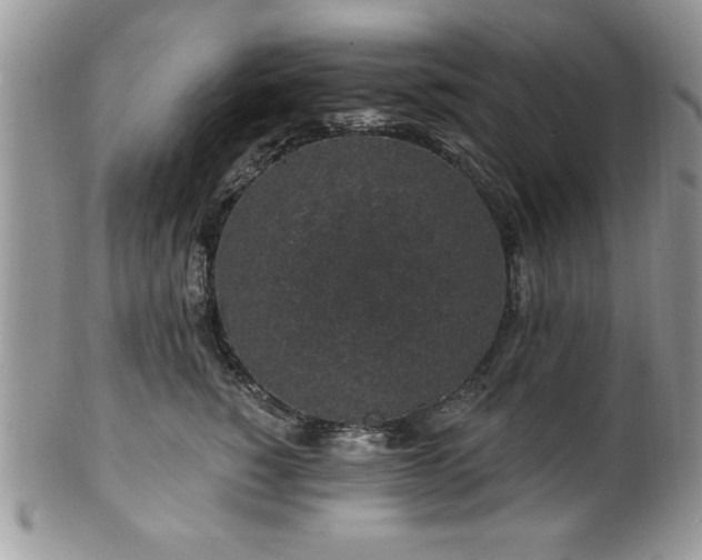 X0000100390760200806130952