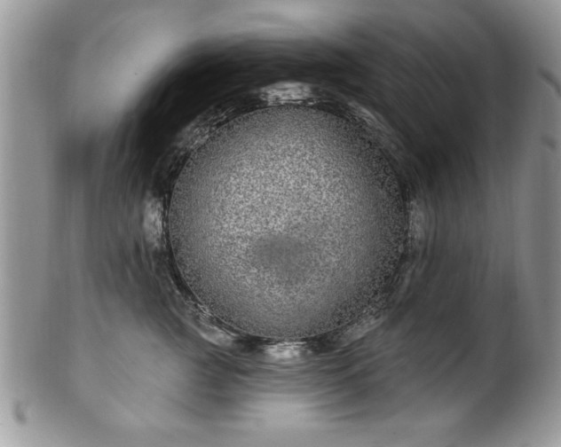 X0000100390761200806130952