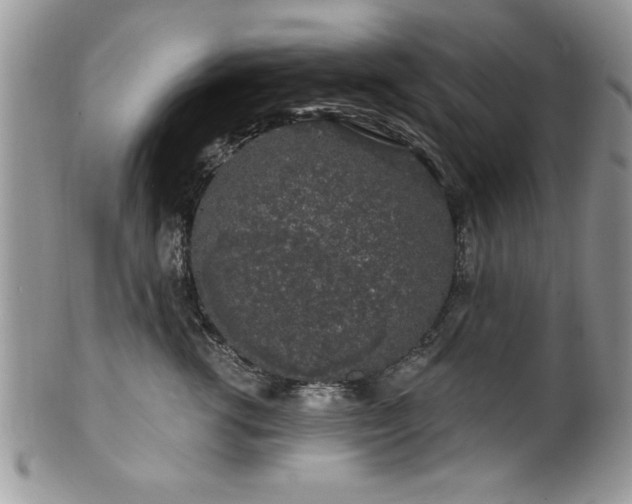 X0000100390762200806130952