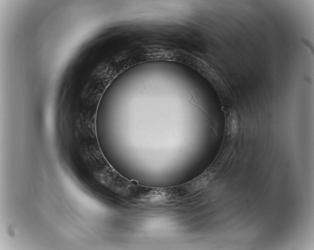 X0000100390764200806130952