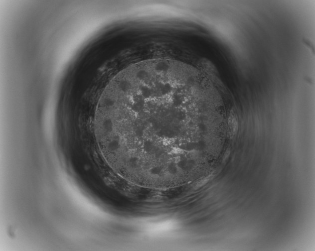 X0000100390765200806130952