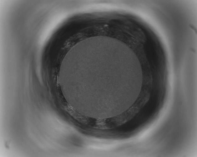 X0000100390766200806130952