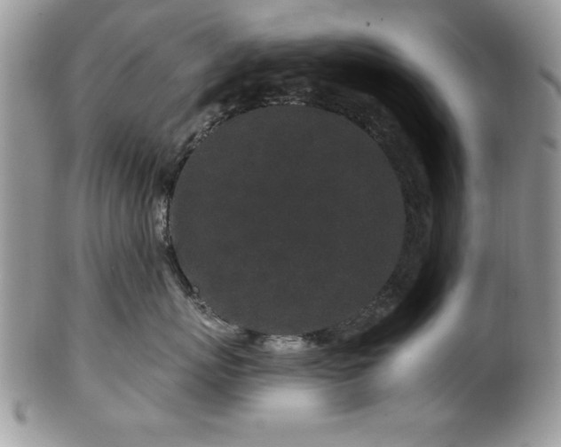 X0000100390767200806130952