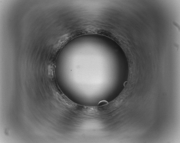 X0000100390768200806130952