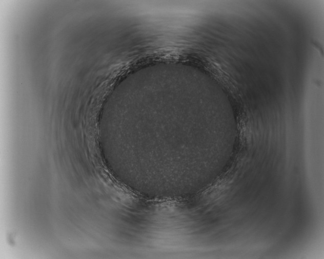 X0000100390769200806130951