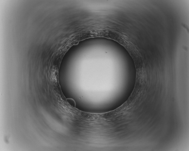 X0000100390770200806130951