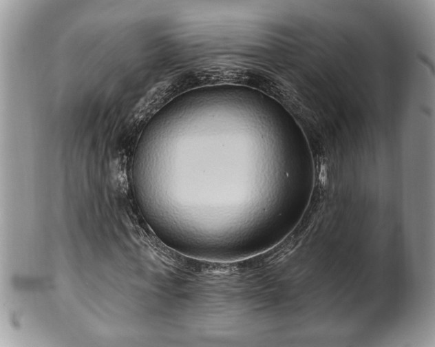 X0000100390771200806130951