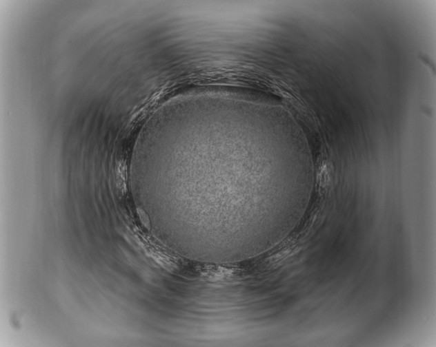 X0000100390772200806130951