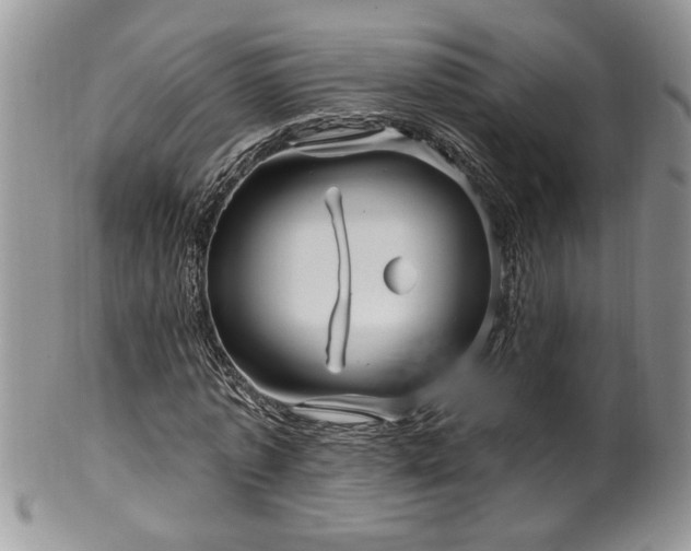 X0000100390773200806130951