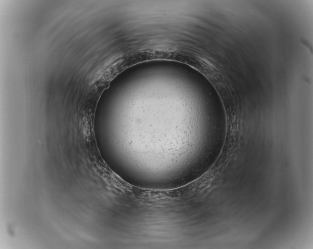 X0000100390774200806130951