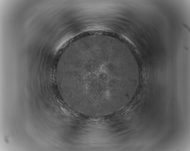 X0000100390775200806130951