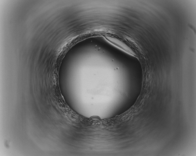 X0000100390776200806130951